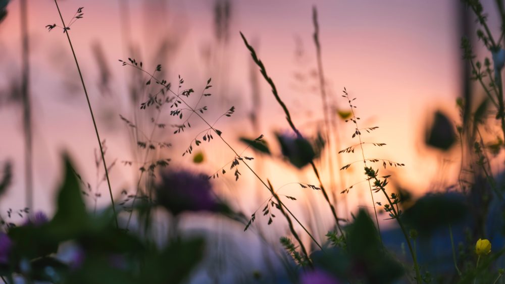 changer d'agence gestion locative